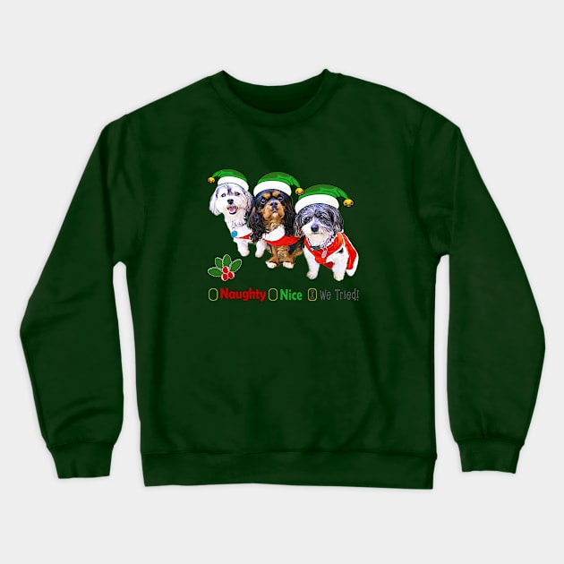 Naughty or Nice Dog Holiday Gifts Crewneck Sweatshirt by THE Dog Designs